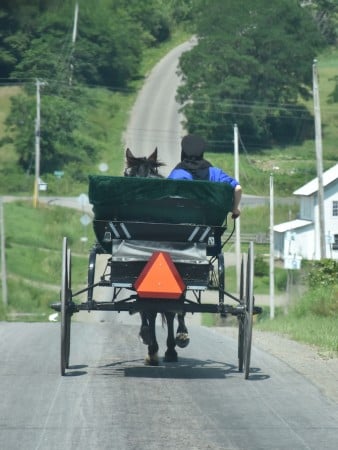 Amish Trail, Cattaraugus County, NY